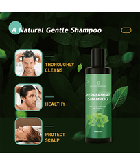 Wholesale Peppermint Shampoo Sulfate Free Anti Itching Anti Dandruff