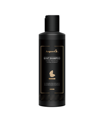 Wholesale Best Natural Shampoo for Men