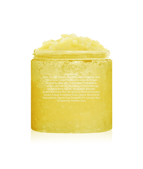 Wholesale Scrub Facial Body Scrub Improve Skin Multiple Flavor Eucalyptus Honey Fruits